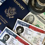 New Zealand visa applications