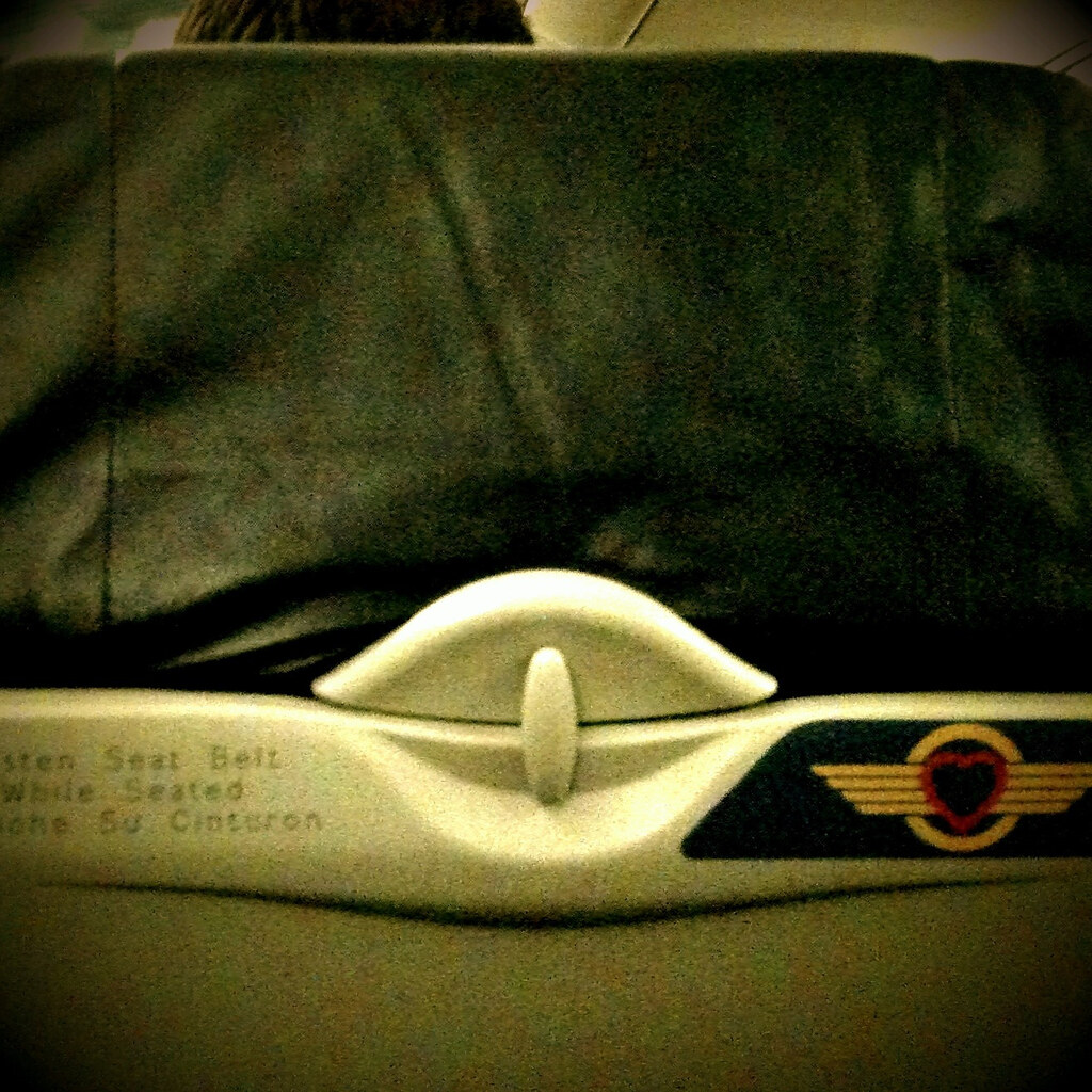 flight stabbing news